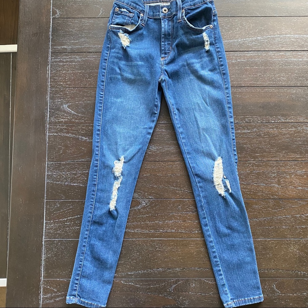 James Jeans Twiggy Ankle Distressed